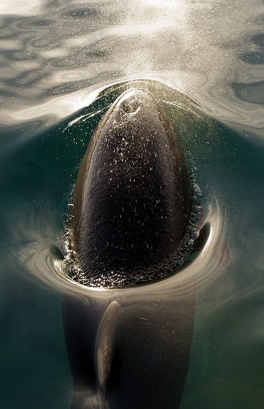 Заре навстречу фото превью