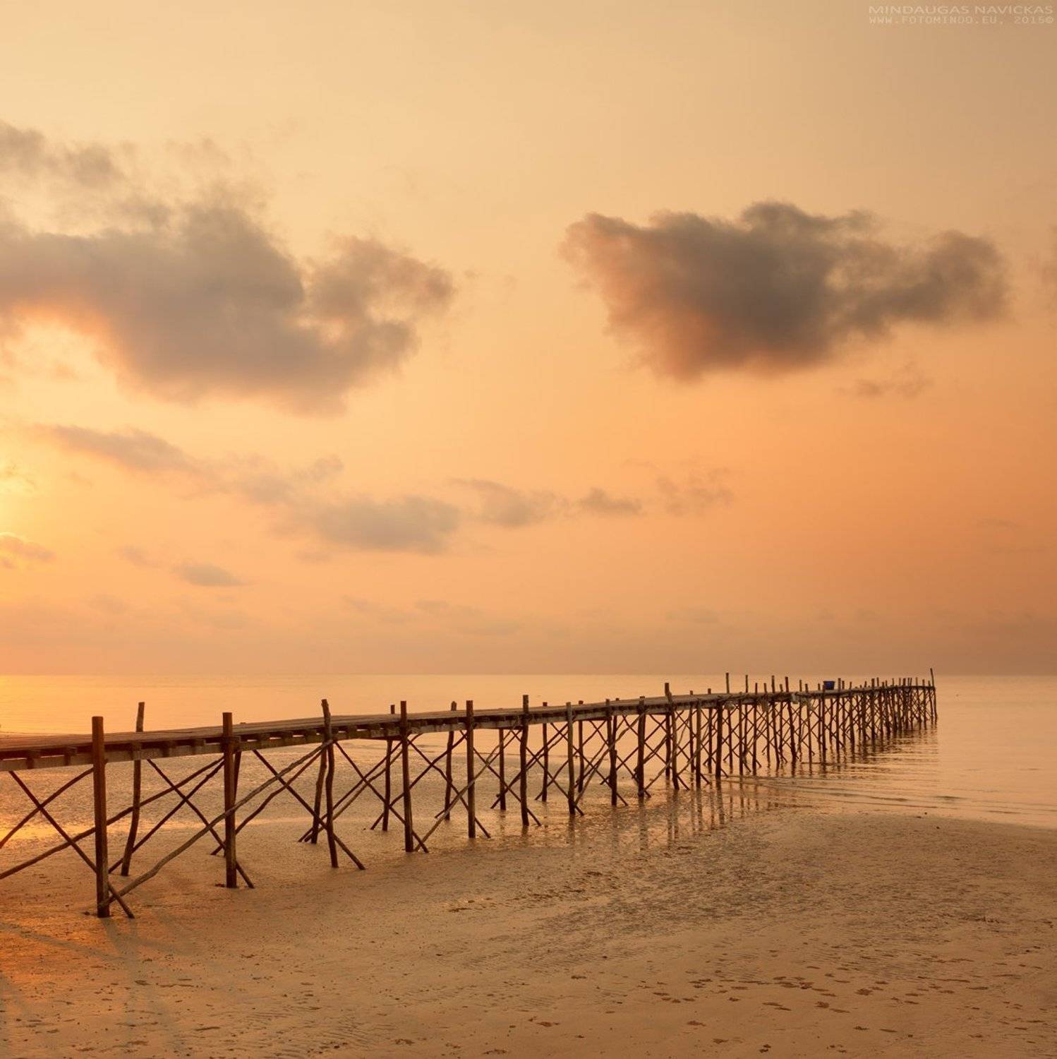 , Mindaugas Navickas