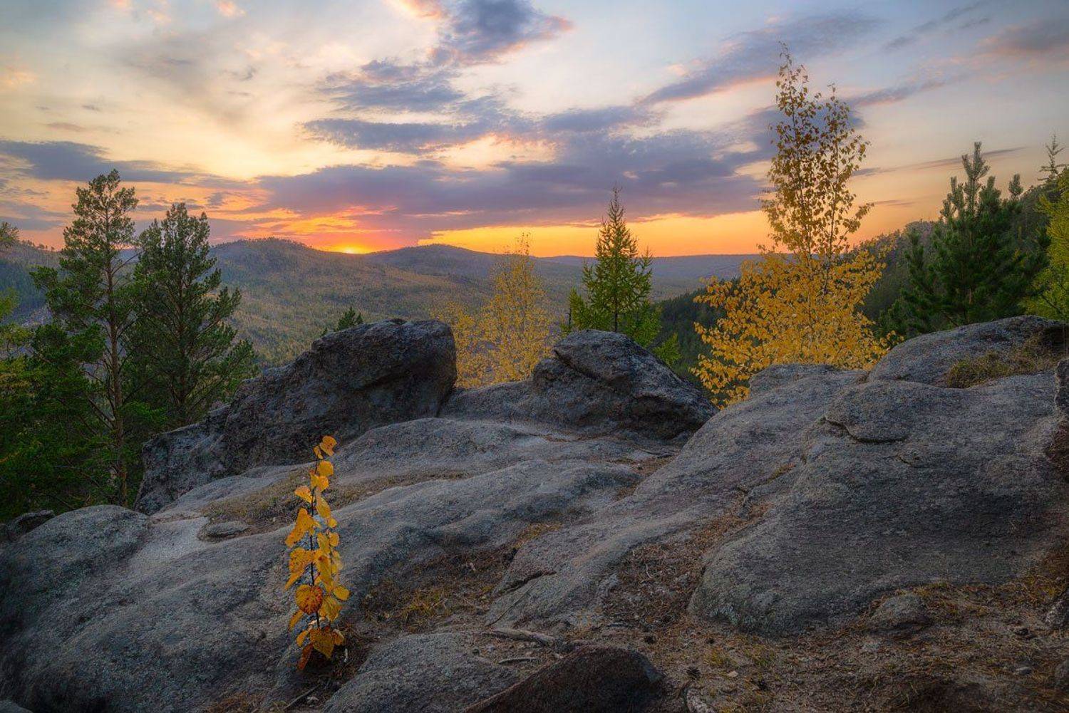 , Сергей Брагин