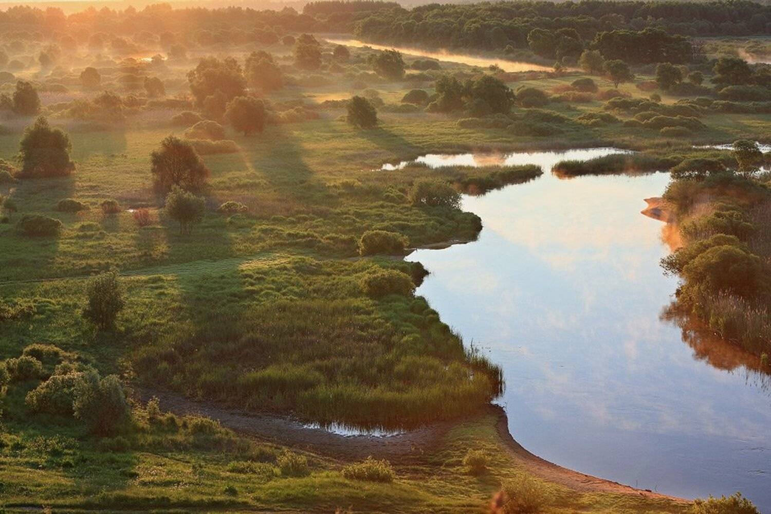 , Юрий Сорокин