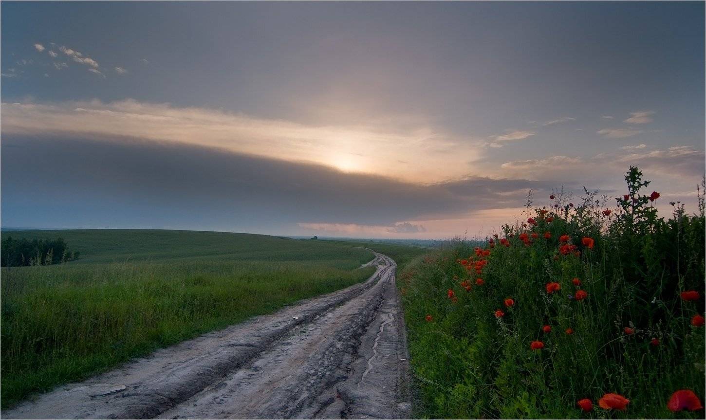, Николай Шахманцир
