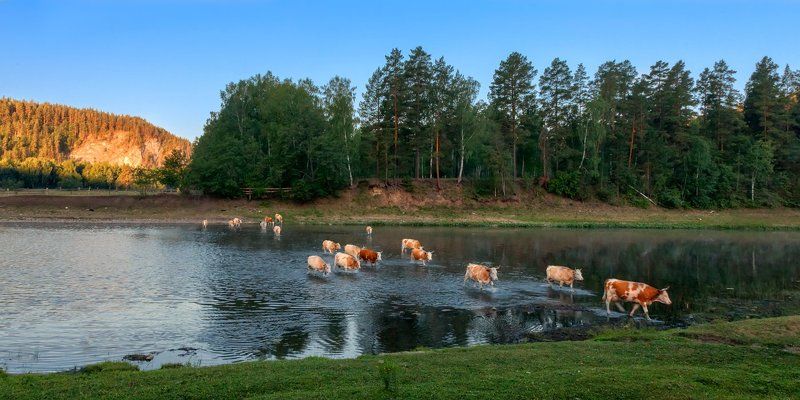 Домой фото превью