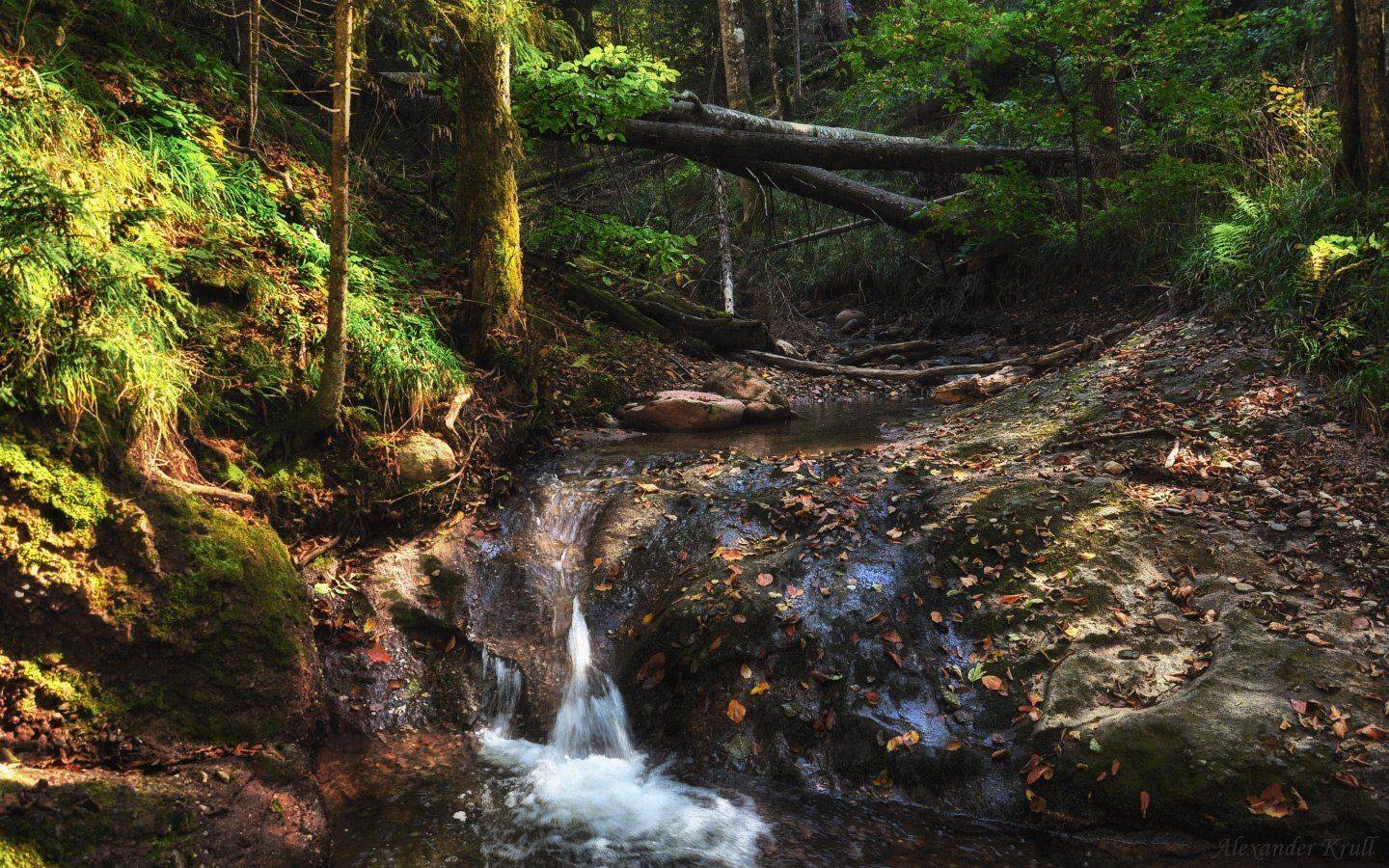 , Александр Круль