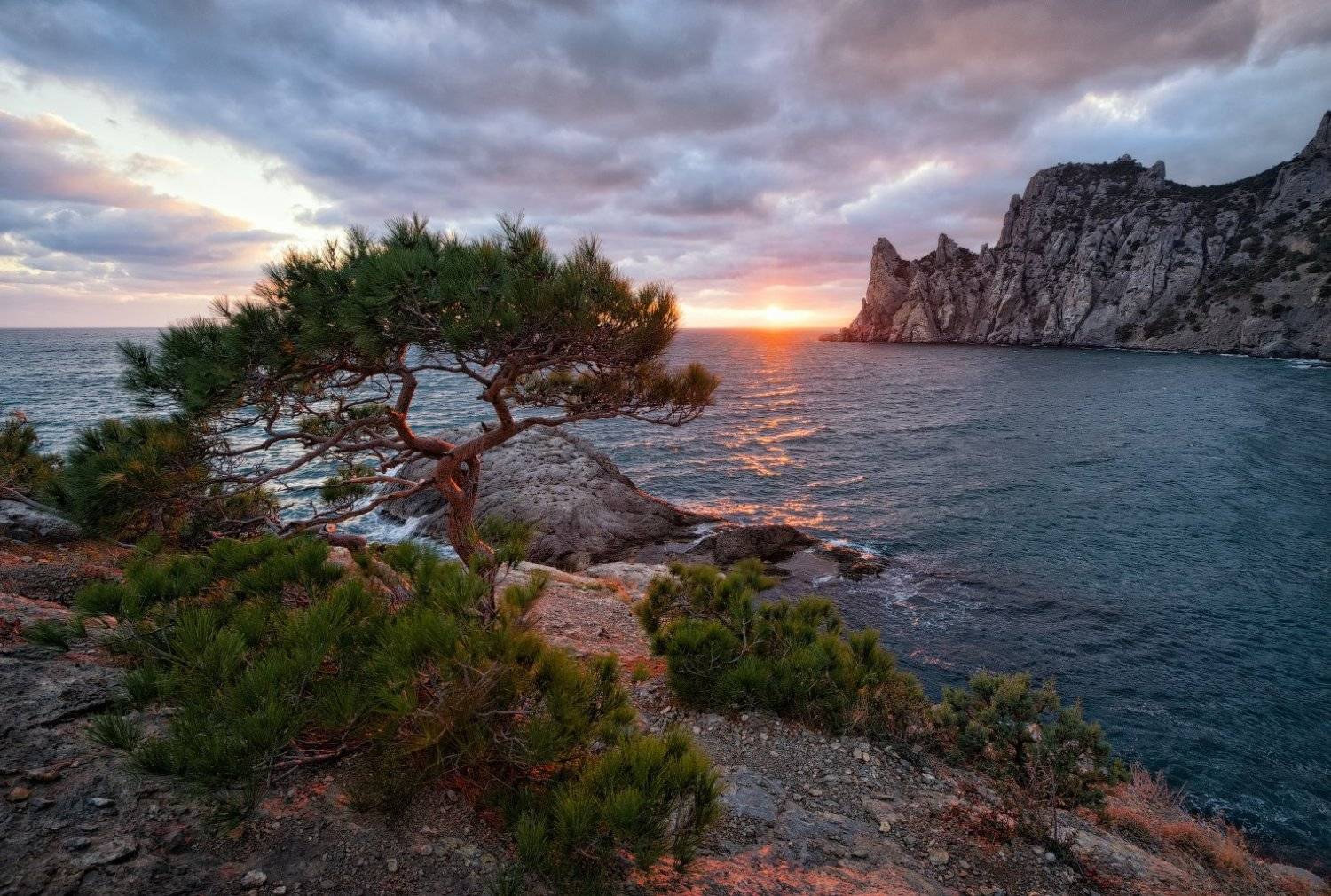 , Анатолий Гордиенко