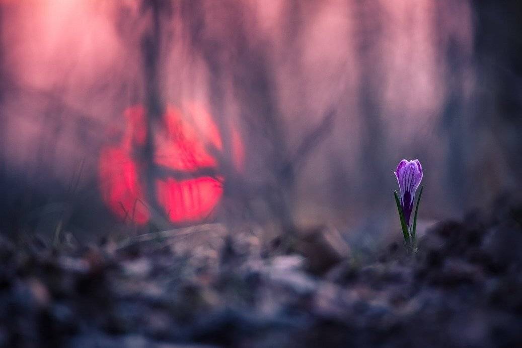 , Вячеслав Мищенко