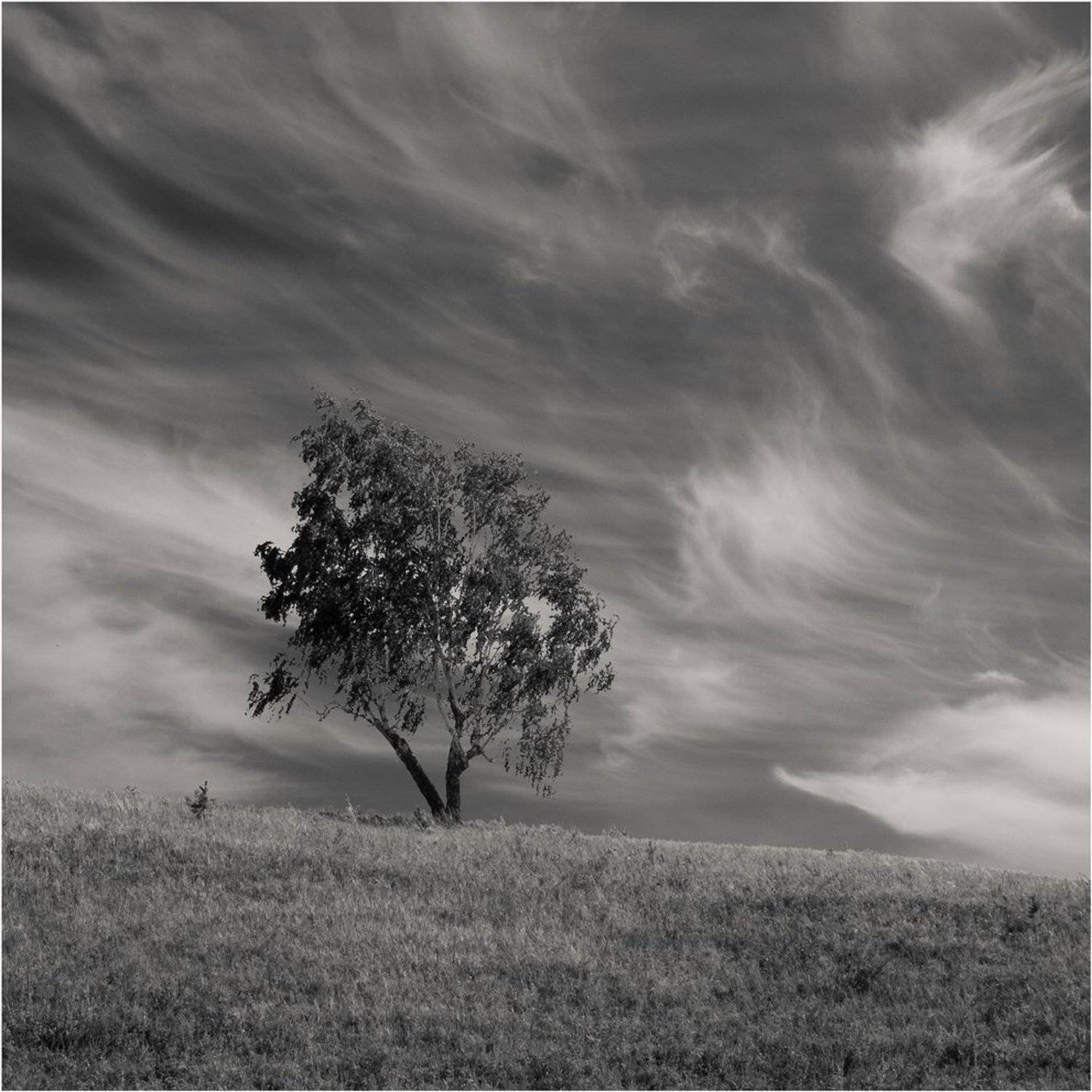 , Алексей Макаров