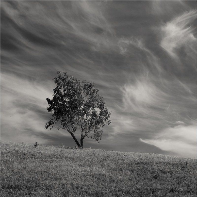 ** ** фото превью