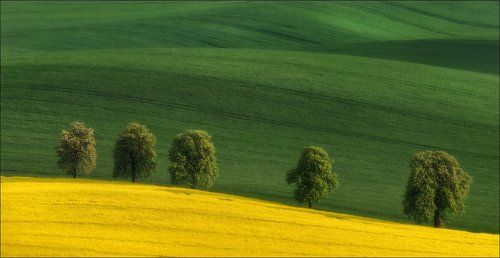 / Весна в Южной Чехии /