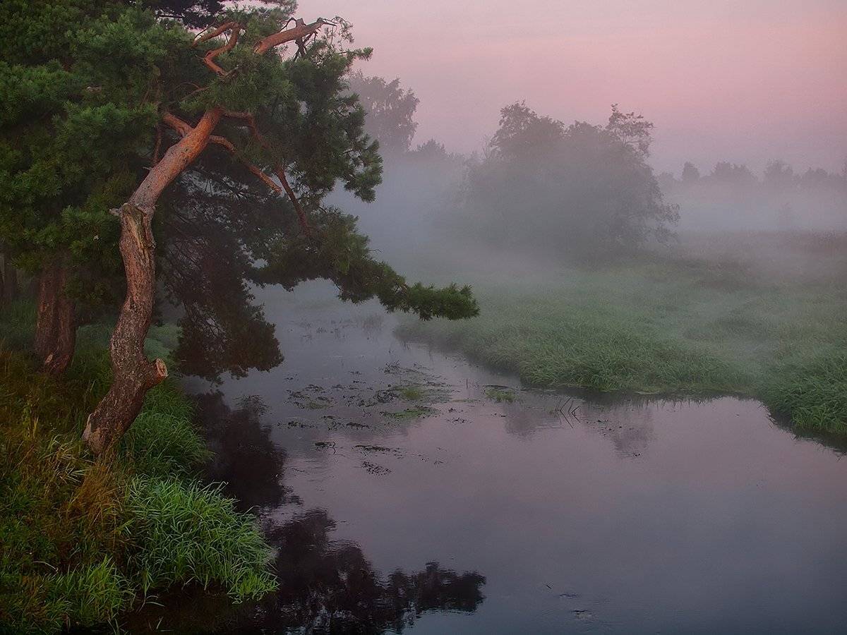 , Марина Брыдня