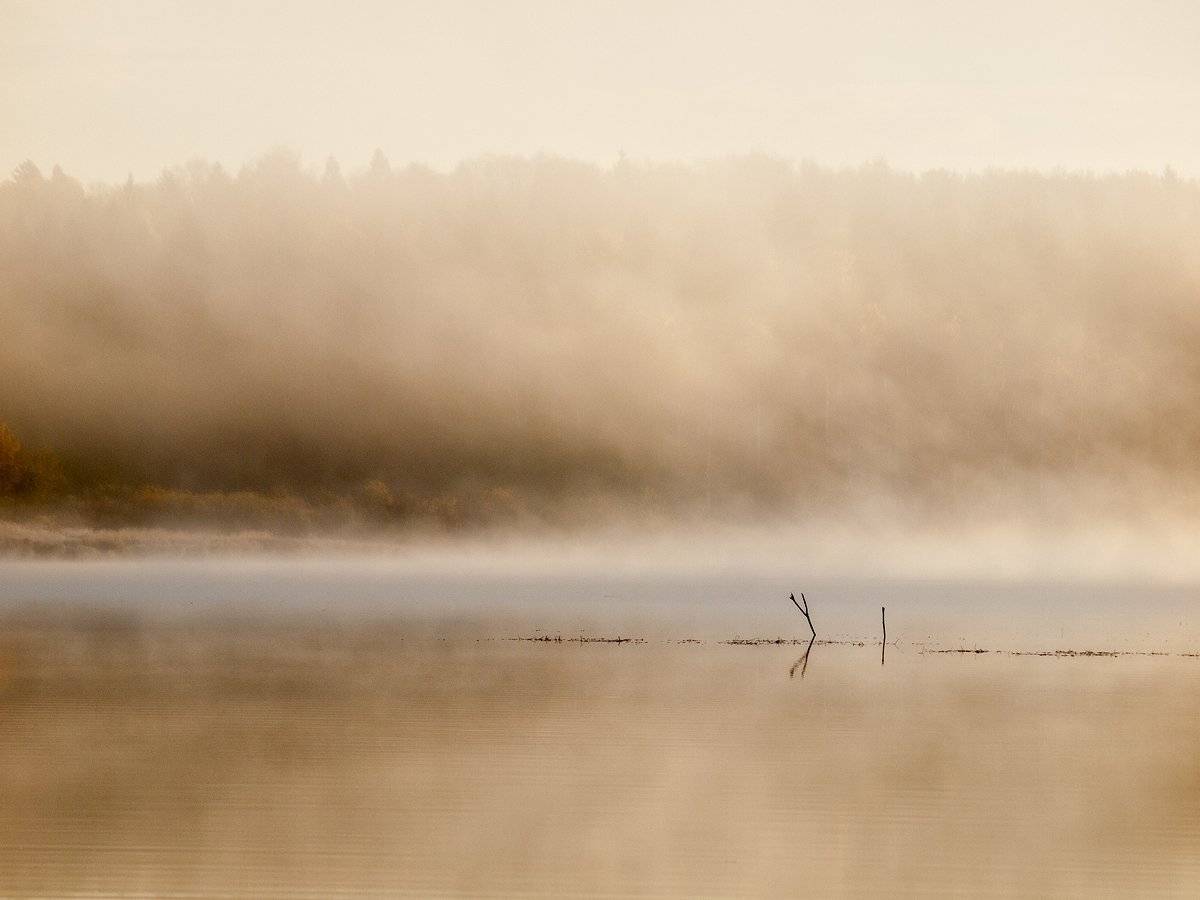 , Владимир Перепечаев