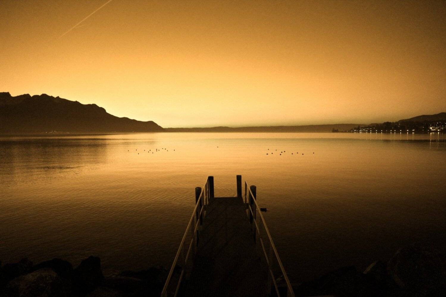 , Ekaterina Eicher (Velichko)