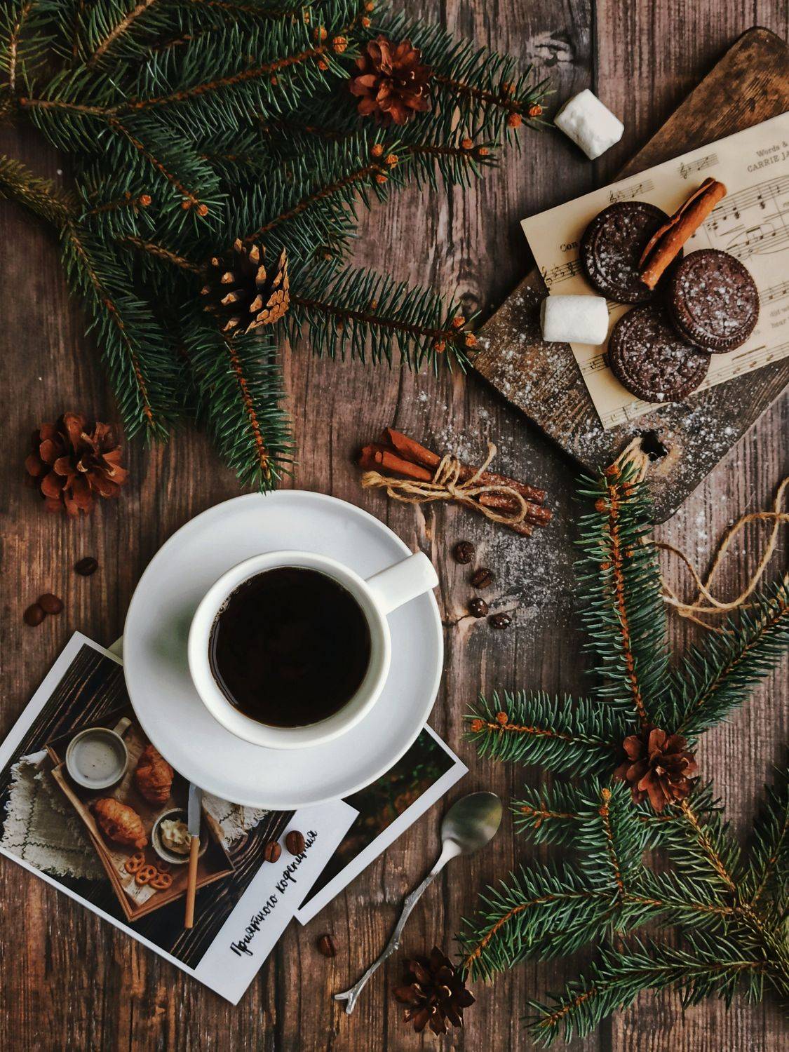 , Дина Полухина