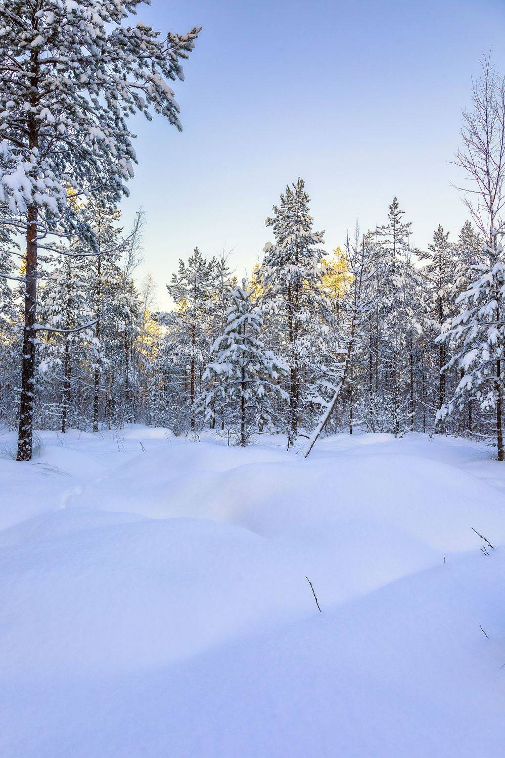 , Игнатьев Александр