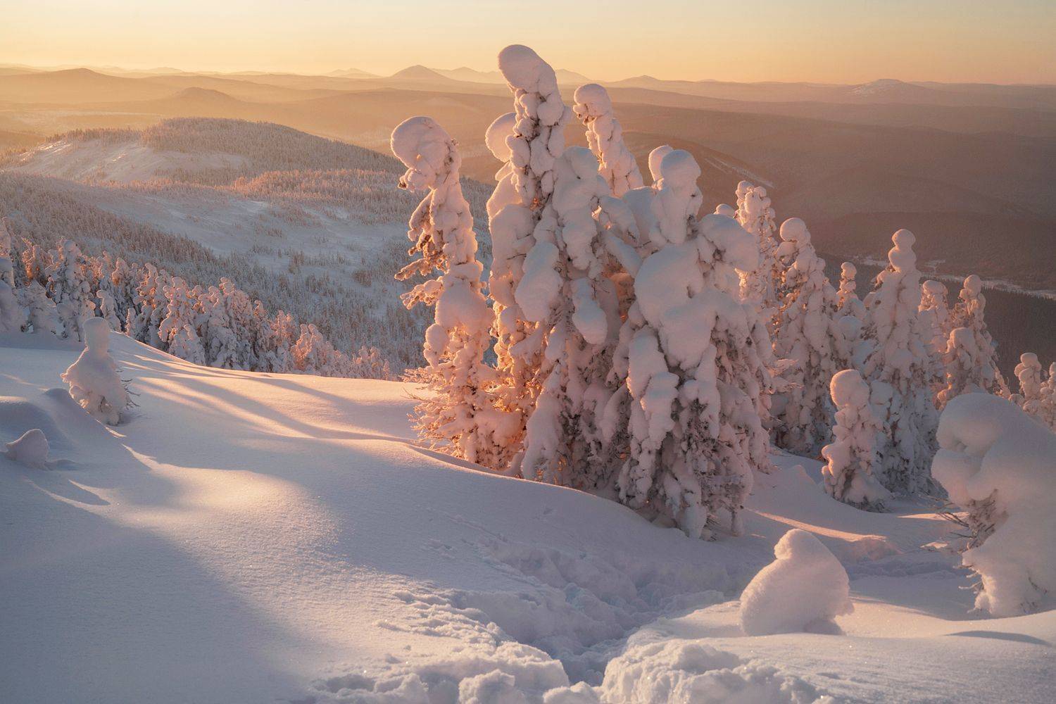, Александр Нерозя