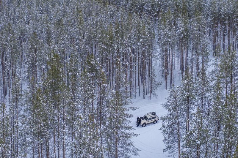 фото превью