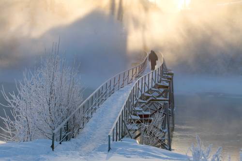 Мостик к свету