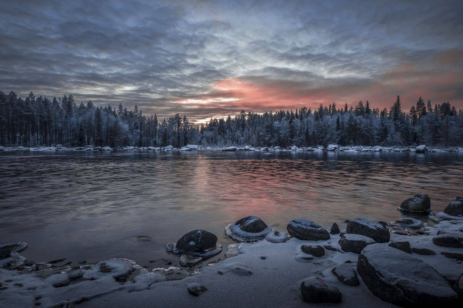 Мурманская область, Гусева Елена