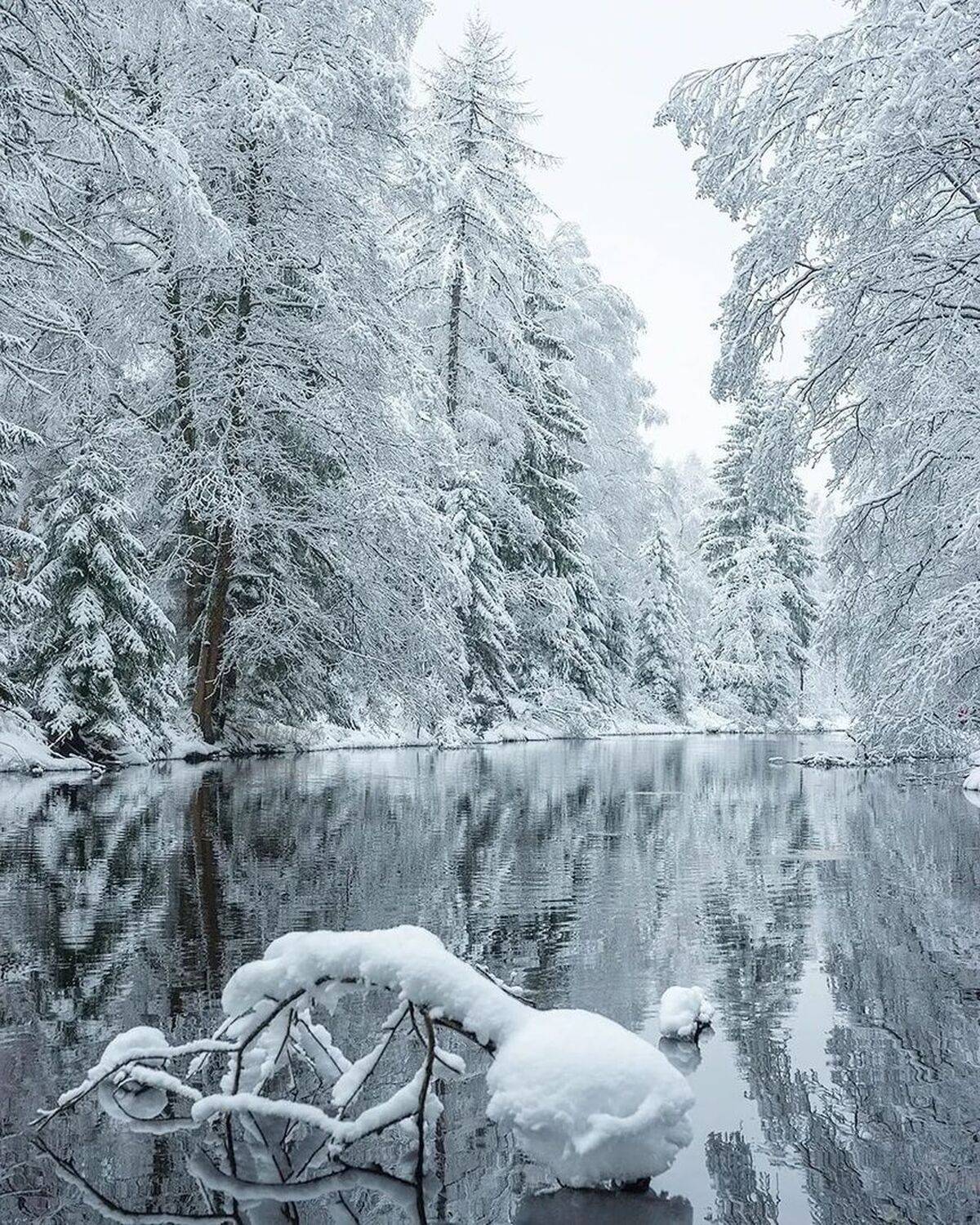 , Петр Косых