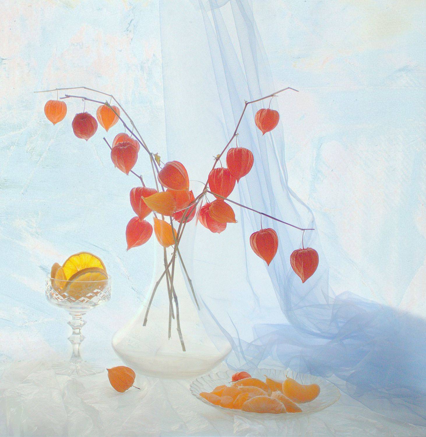 , Хохлова Наталья