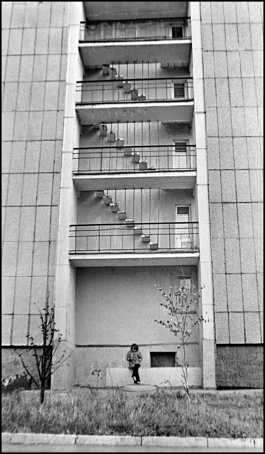 , Меднов Влад