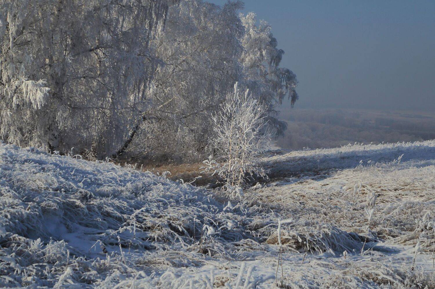, Евгений Зинов