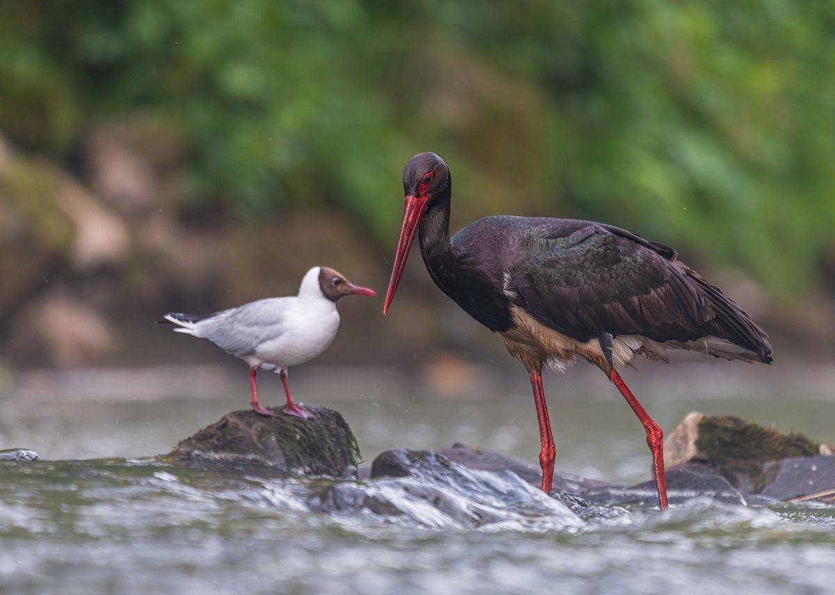 , Sławek Przybylski