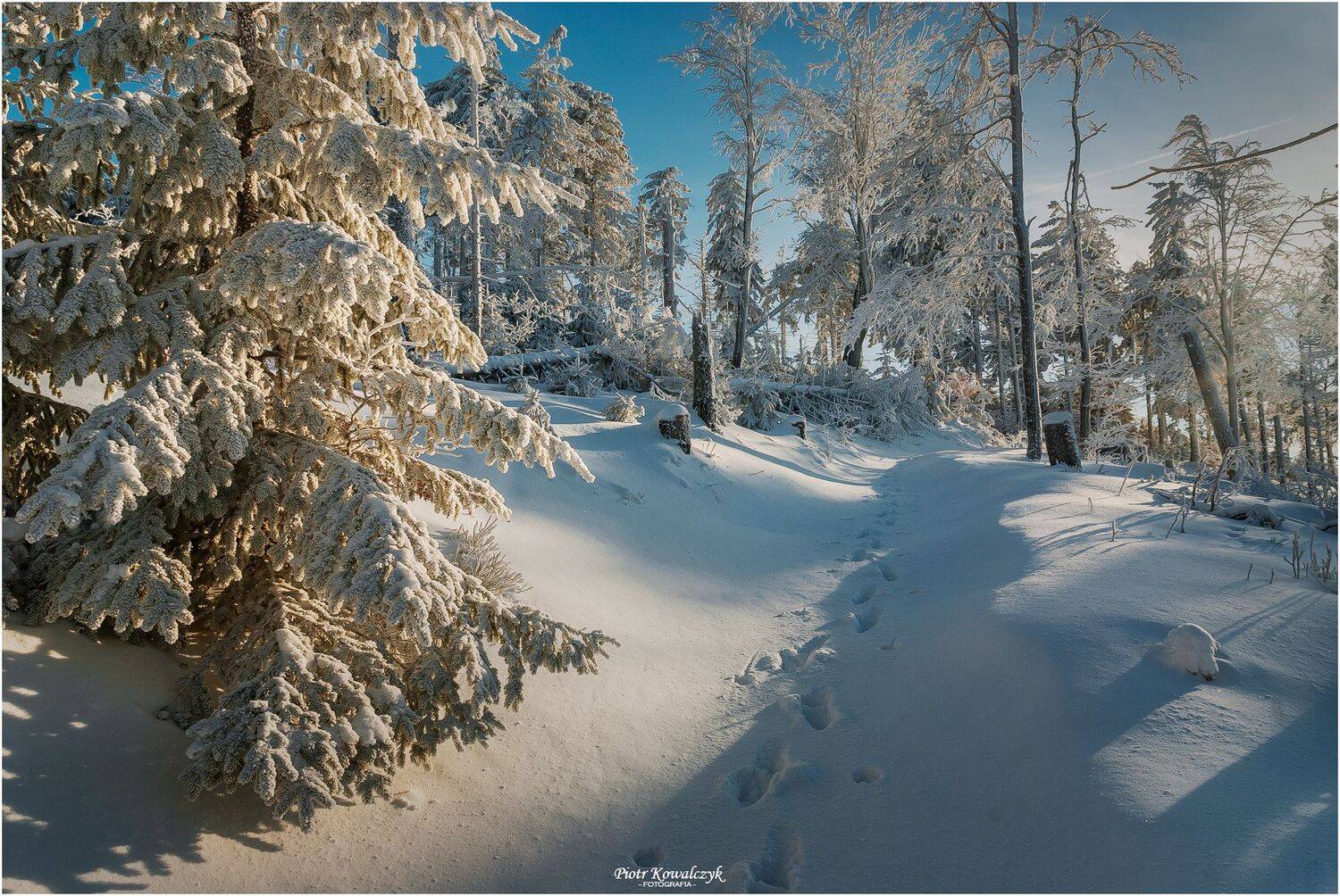 zima, polska, Kowalczyk Piotr