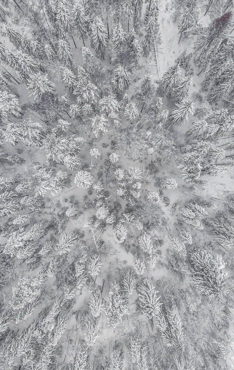 , Шуплецов Алексей