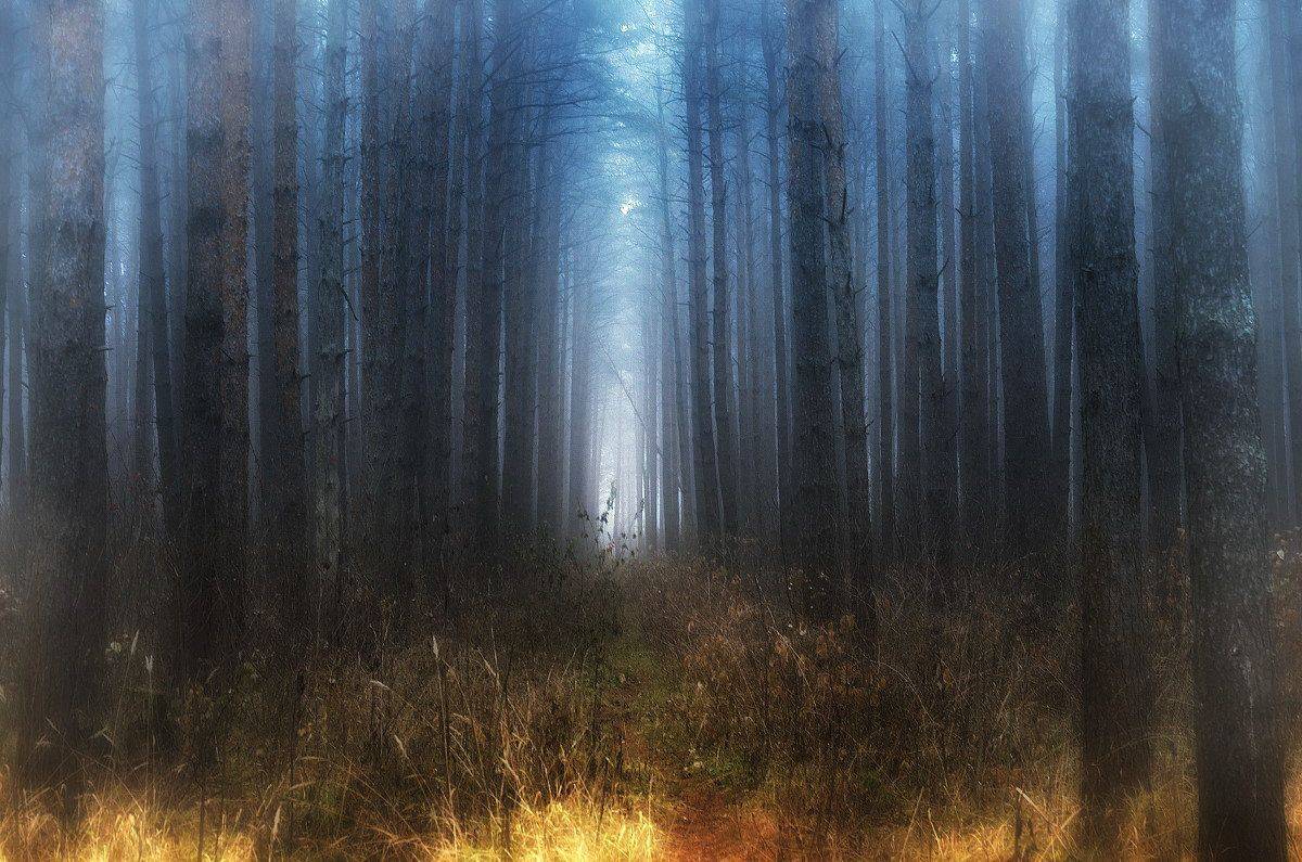 , Сергей Клапишевский