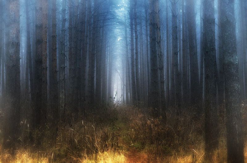 Синий туман... фото превью
