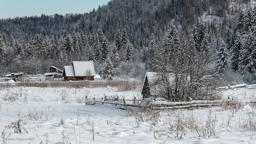 Шорские этюды