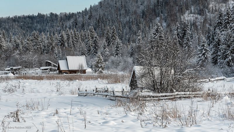 с рождеством!, зима, снежные кружева, снег, пихты, кедры, березы, горная шория Шорские этюды фото превью