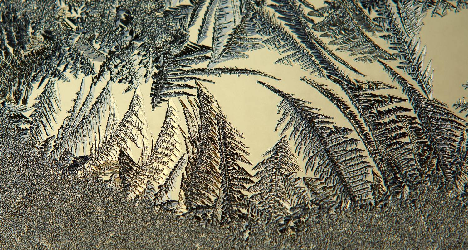 мороз, окно, стекло, узоры, ёлки, дендриты, Павел Черенков