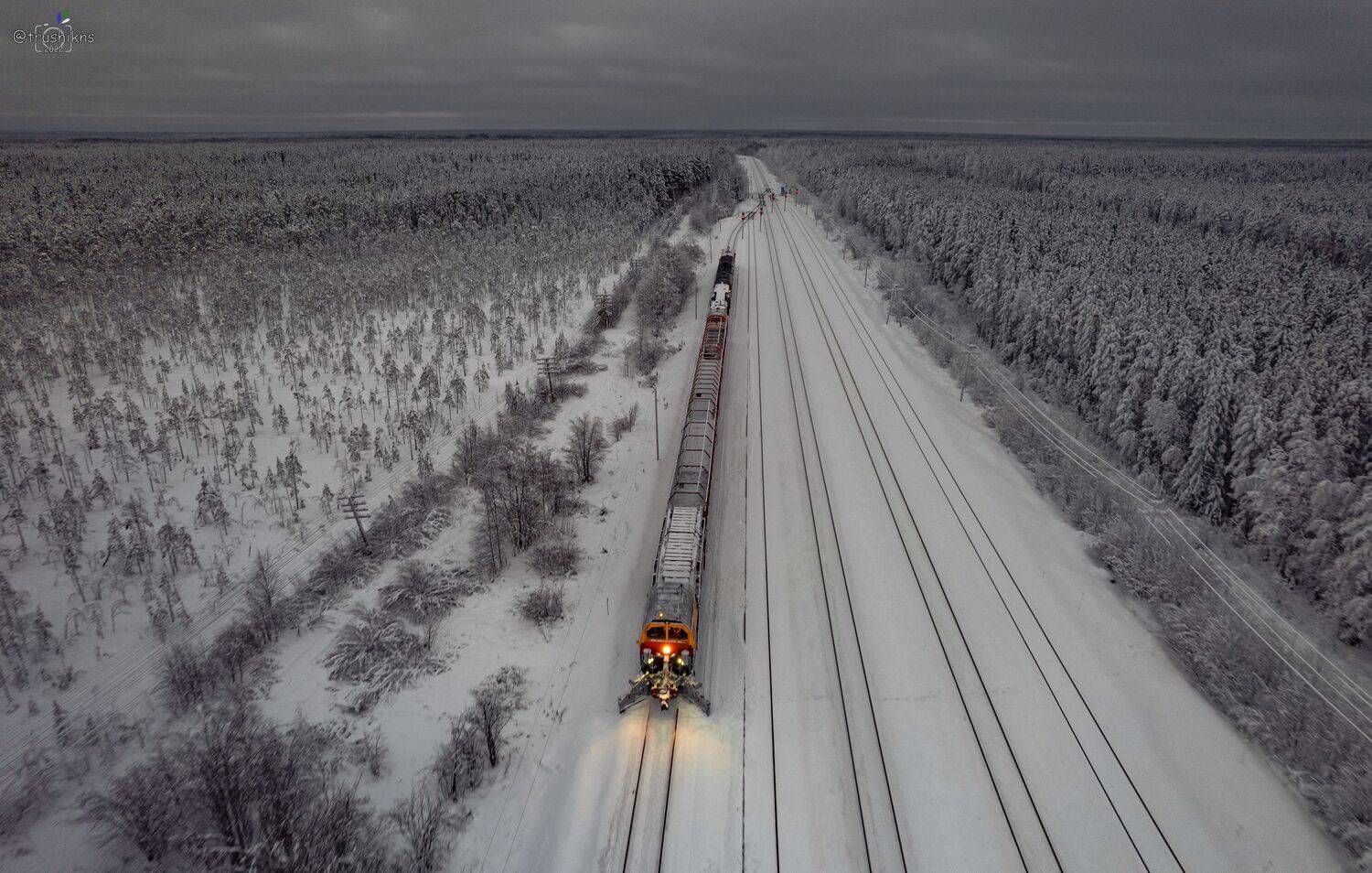 , Владислав Трушков