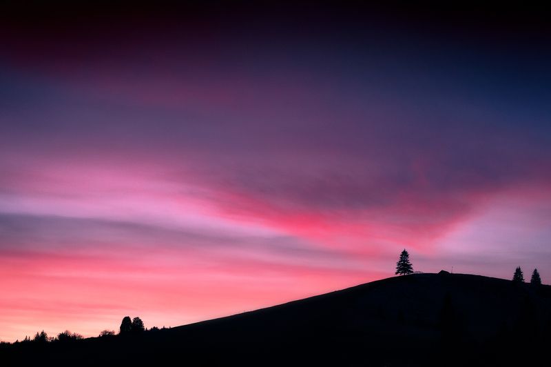 ukraine A Winter Shade of Pale фото превью