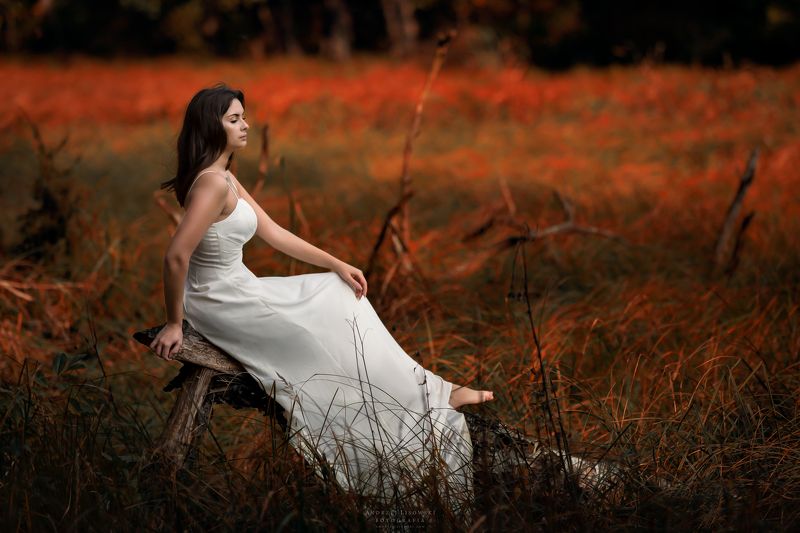 Carrot fields фото превью