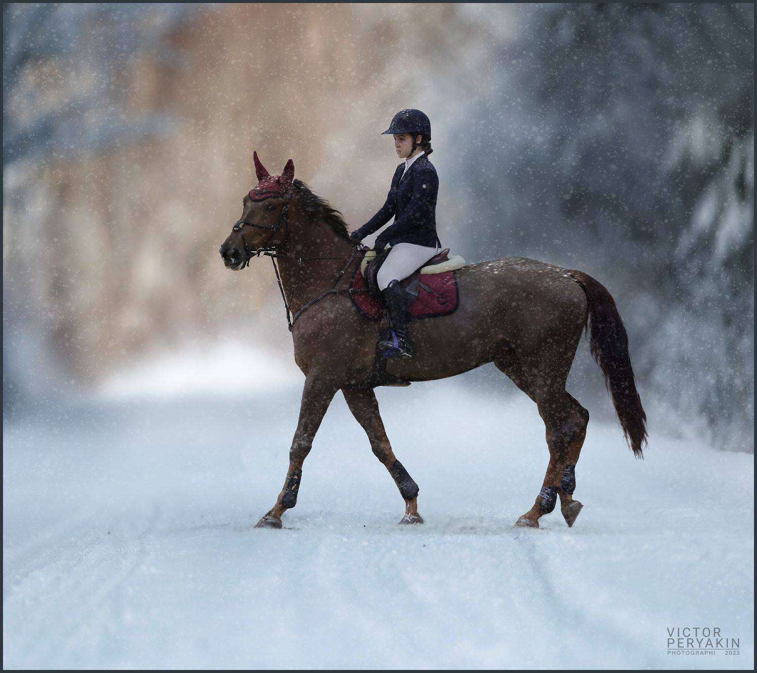 , Виктор Перякин