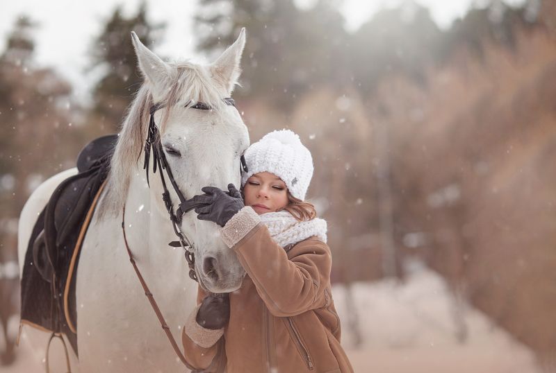 лошадь, девочка, зима, снег, любовь, дружба Доверие  фото превью