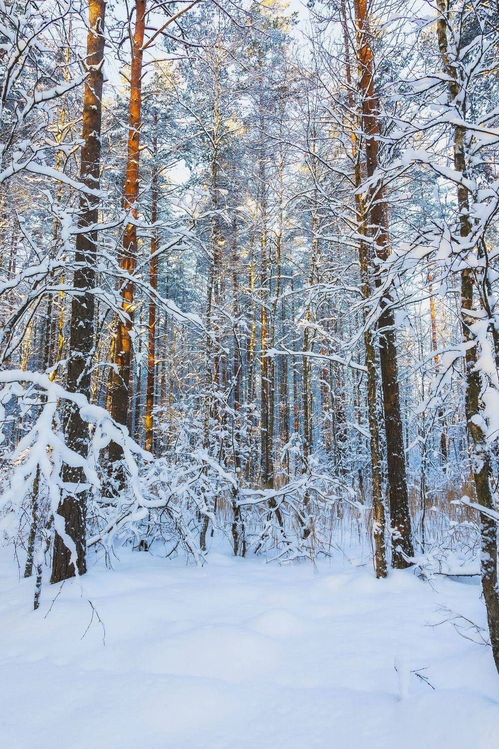 , Игнатьев Александр