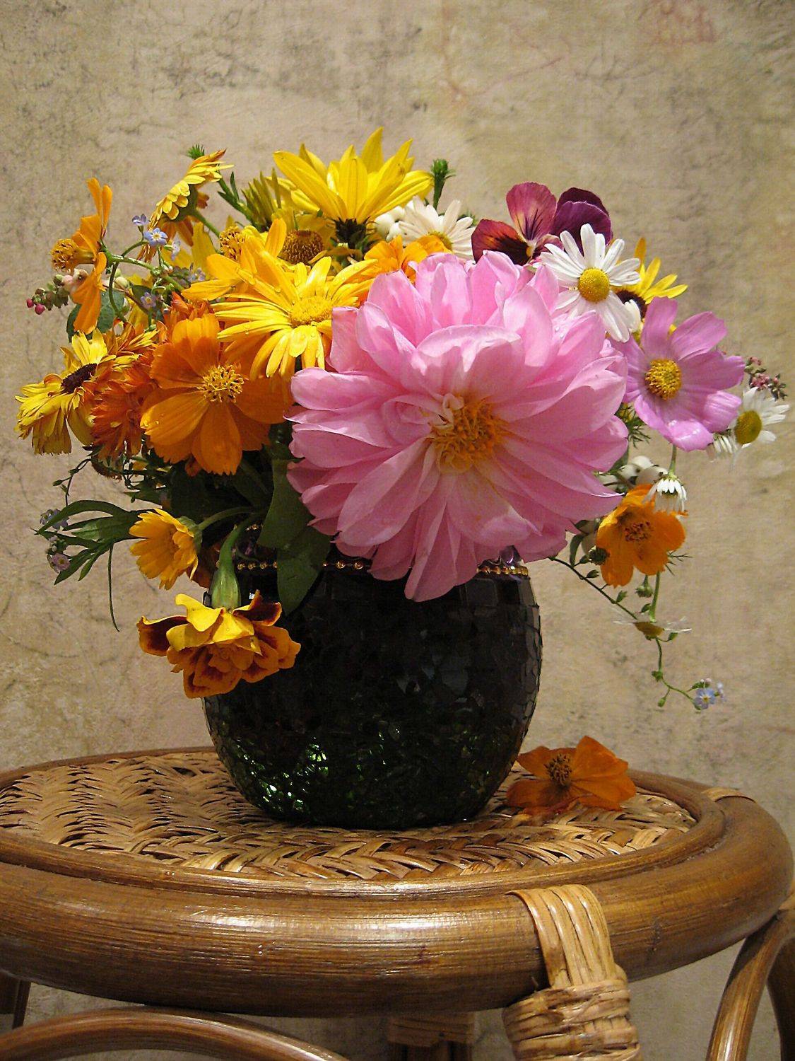 ромашки, ноготки, календула, космея, фиалка, незабудки, бархатцы, георгин, ваза, Наталия Тихомирова