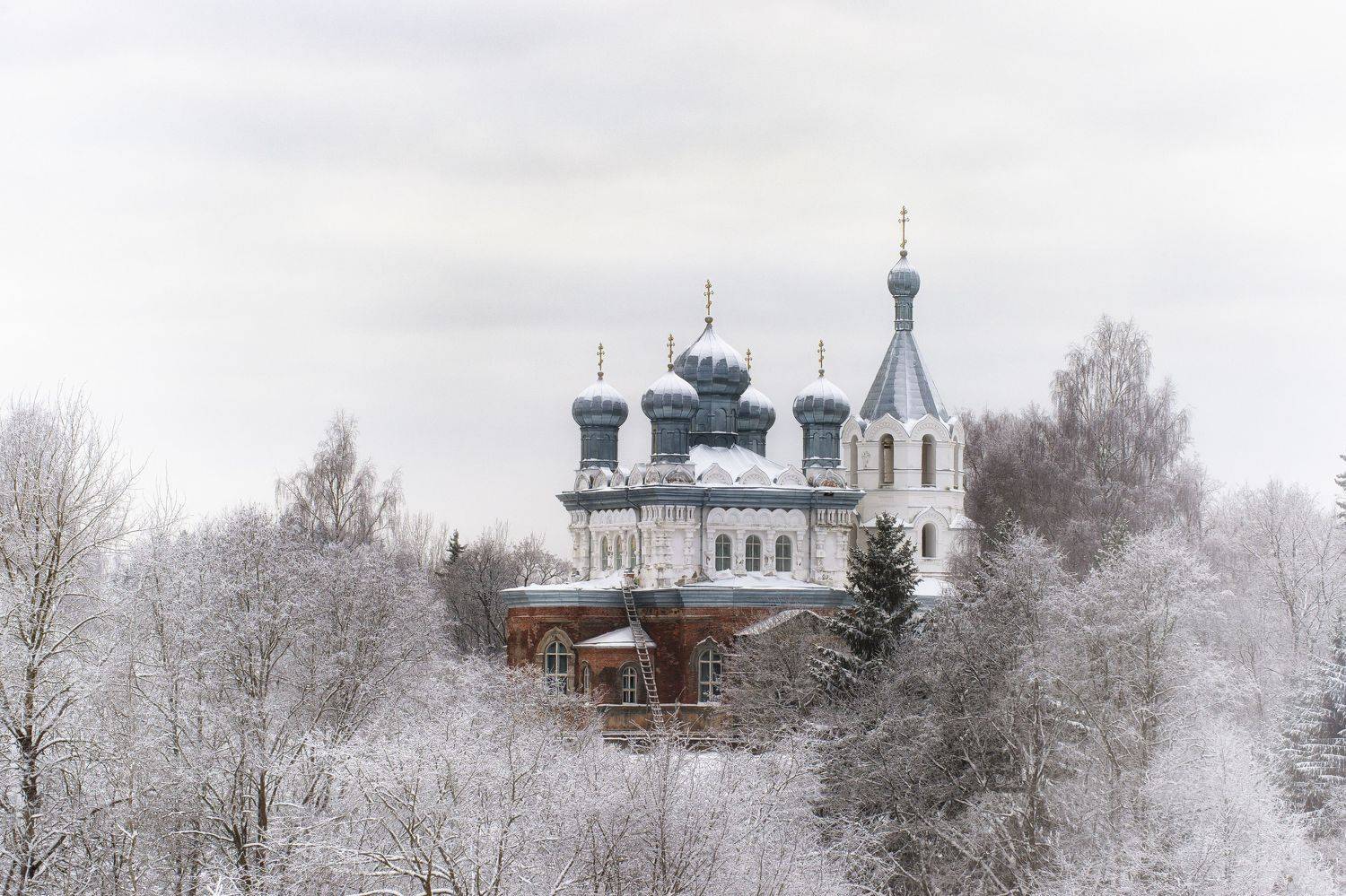 , Кулаков Юрий