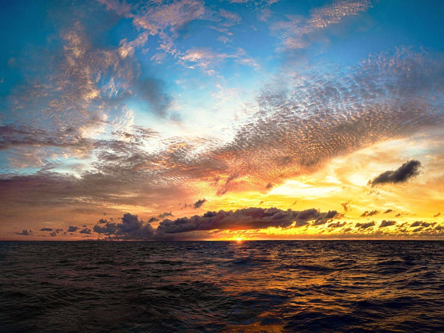 , Шварцман Евгений