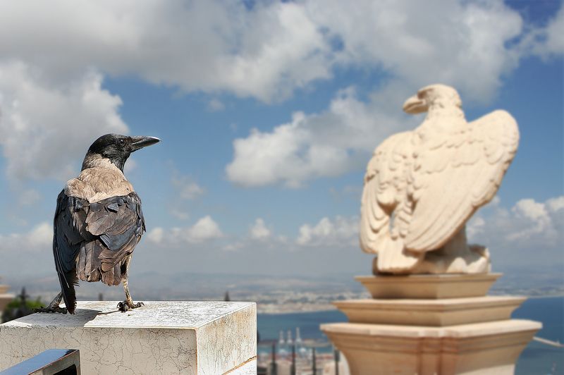 Я памятник себе... фото превью