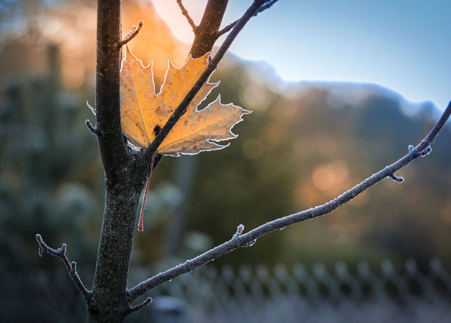 , Зеленько Дмитрий