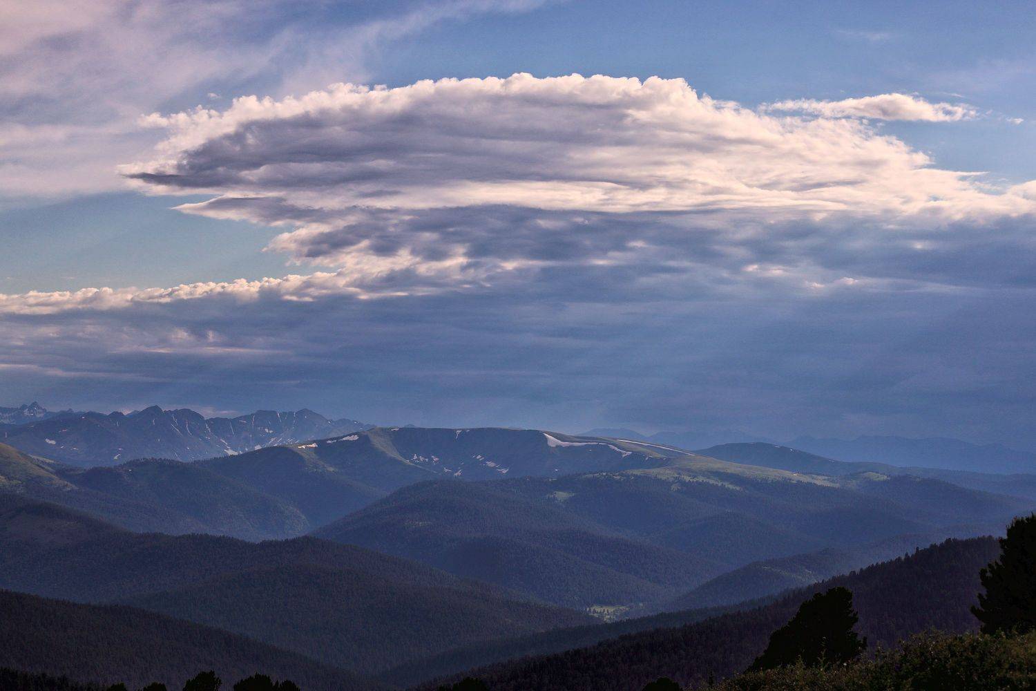 , Павел Мартюшев