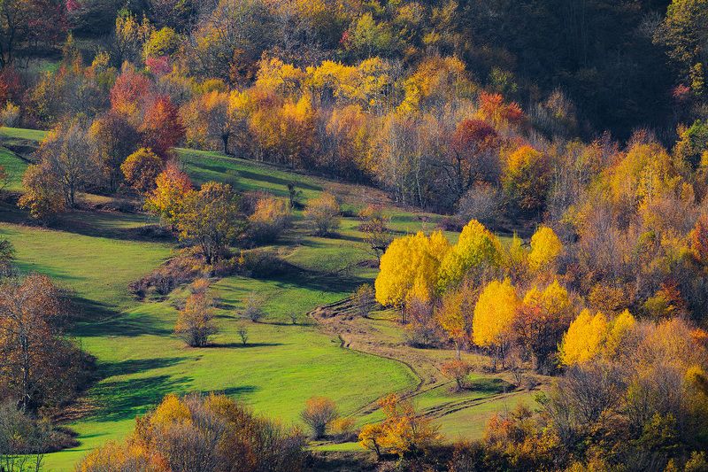 азербайджан, кавказ, осень, горы, лес Осень в горах Кавказа фото превью