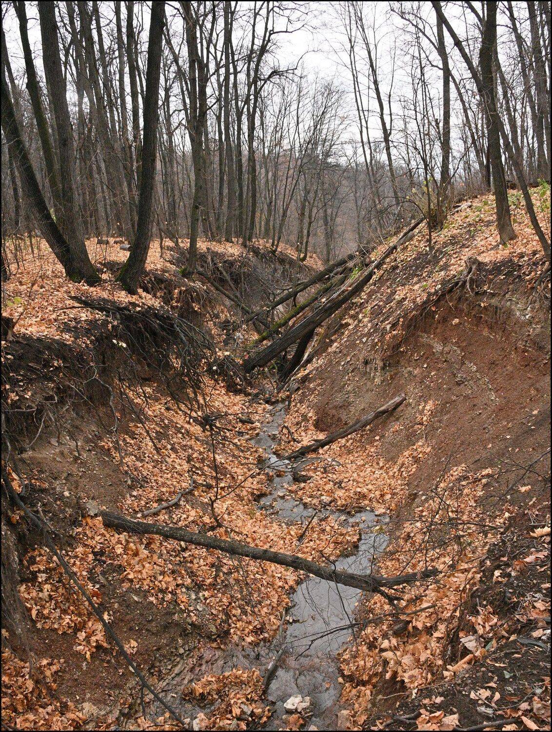 , Меднов Влад