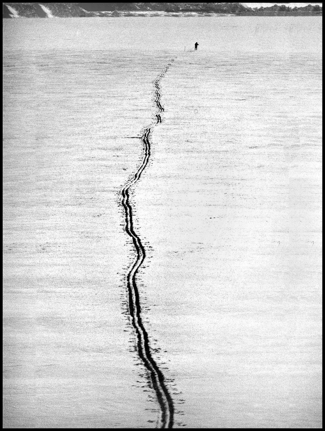 , Меднов Влад