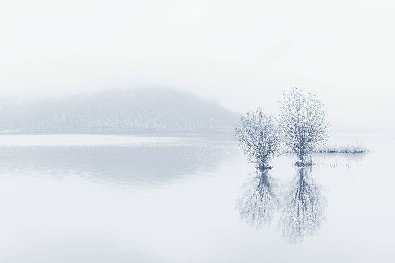 озеро, зима, туман, отражения, lake, winter, fog, Valery