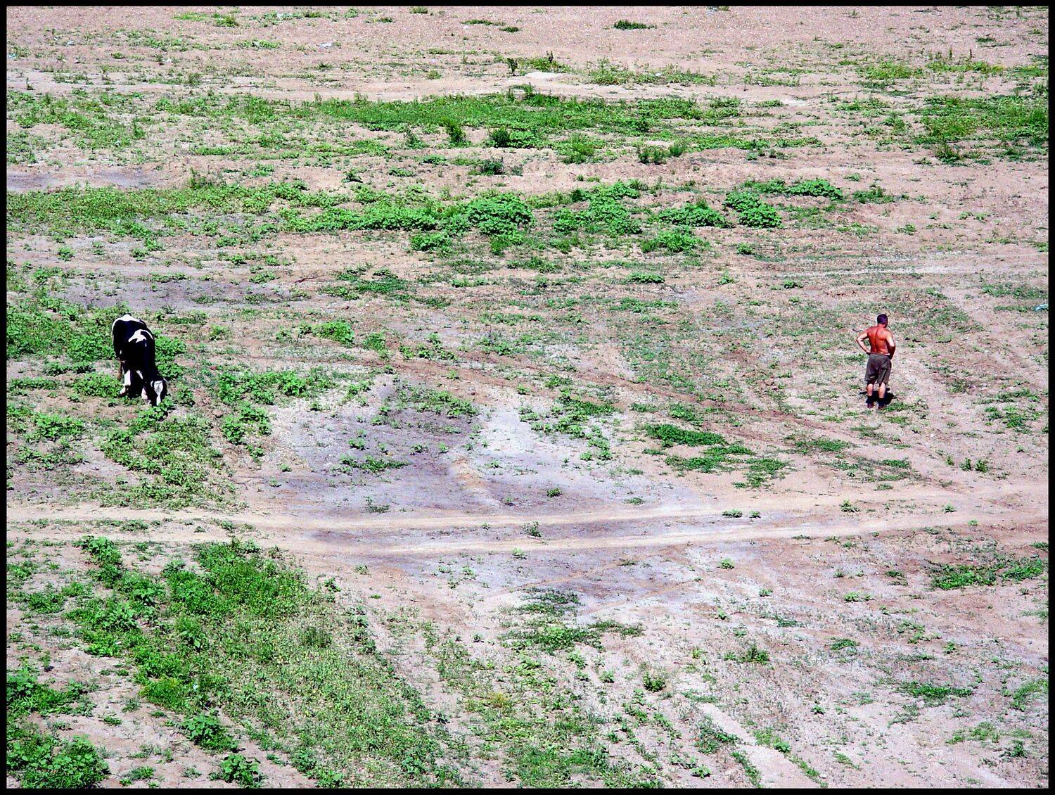 , Меднов Влад